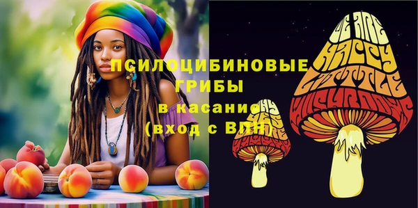 ПСИЛОЦИБИНОВЫЕ ГРИБЫ Белокуриха