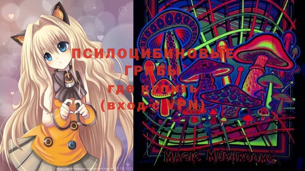 ПСИЛОЦИБИНОВЫЕ ГРИБЫ Белокуриха
