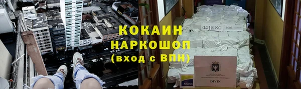 ПСИЛОЦИБИНОВЫЕ ГРИБЫ Белокуриха