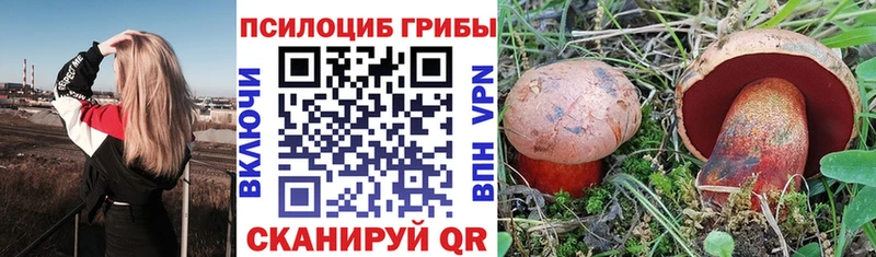 Псилоцибиновые грибы MAGIC MUSHROOMS  hydra онион  Курлово  купить закладку 